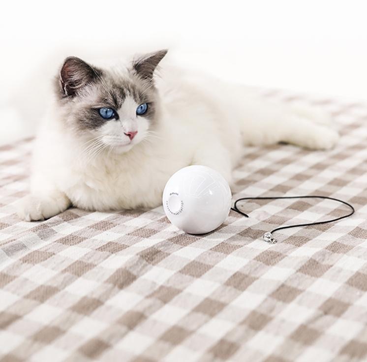 AutoChase Cat Toy – Smart Fun for Curious Cats!