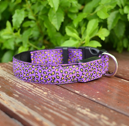 GlowBuddy Adjustable Pet Collar – Nighttime Safety in Style
