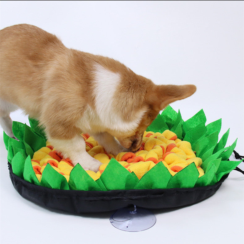 Pet Sniffing Mat – Interactive Training & Feeding Toy for Dogs & Cats