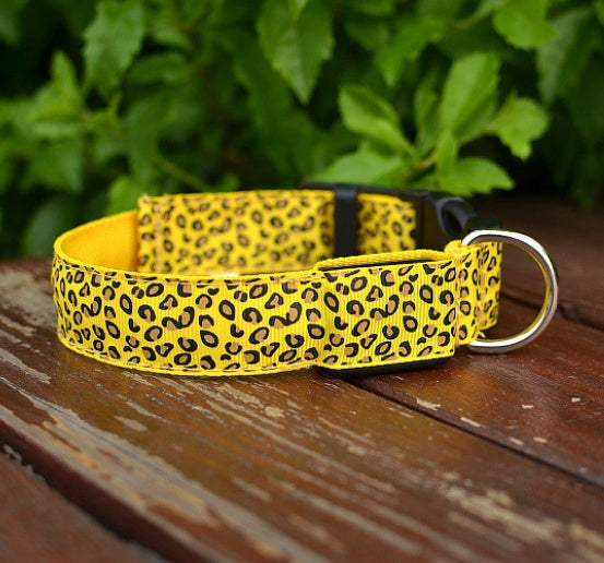 GlowBuddy Adjustable Pet Collar – Nighttime Safety in Style