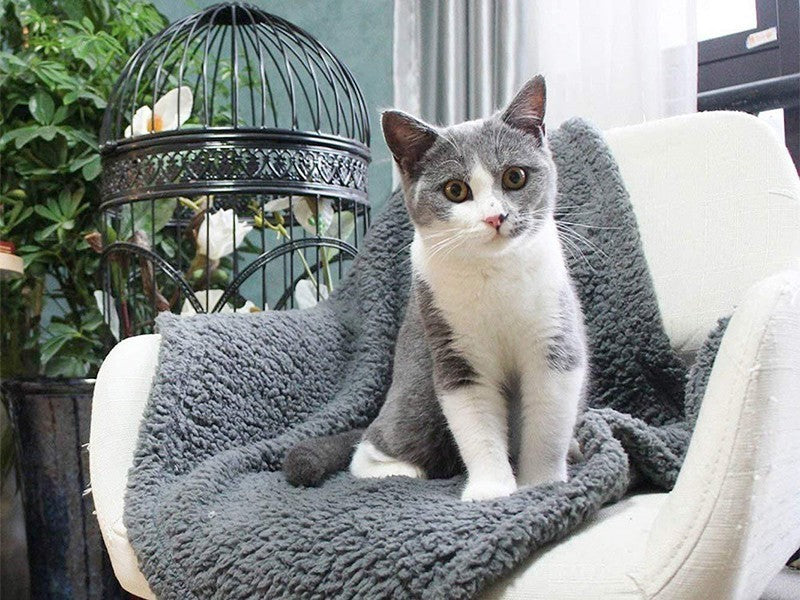 Soft Plush Pet Blanket & Mat – Cozy All-Season Bed Pad for Cats & Dogs