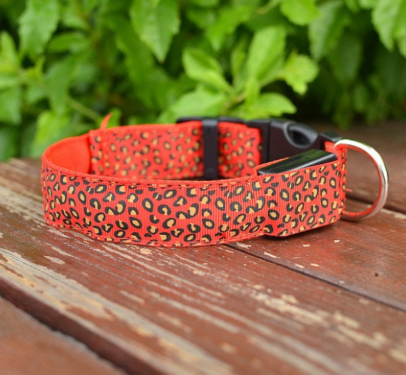GlowBuddy Adjustable Pet Collar – Nighttime Safety in Style
