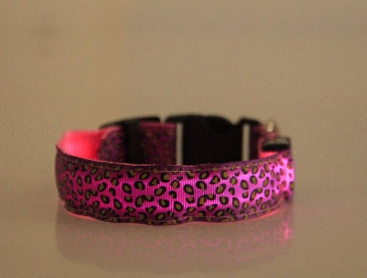 GlowBuddy Adjustable Pet Collar – Nighttime Safety in Style