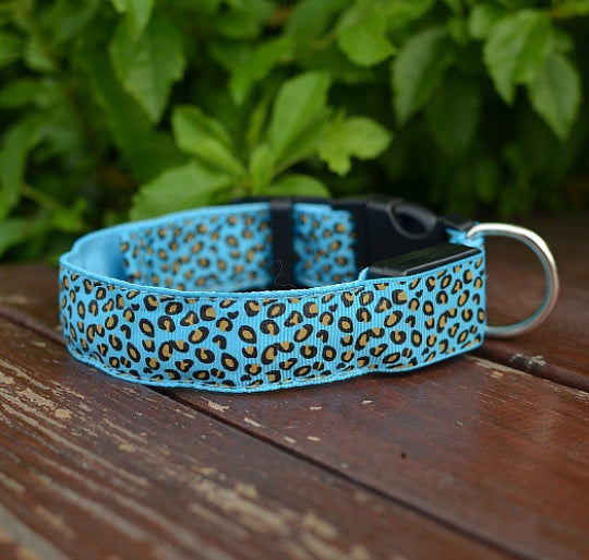 GlowBuddy Adjustable Pet Collar – Nighttime Safety in Style