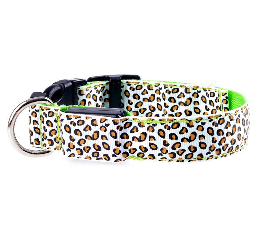 GlowBuddy Adjustable Pet Collar – Nighttime Safety in Style