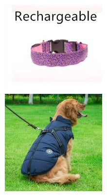 GlowBuddy Adjustable Pet Collar – Nighttime Safety in Style