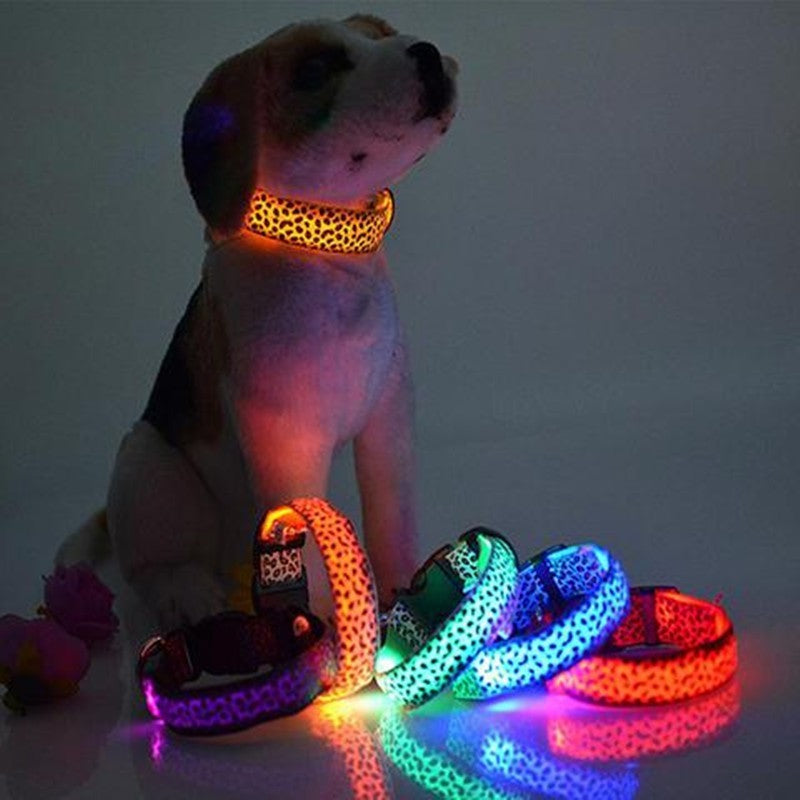 GlowBuddy Adjustable Pet Collar – Nighttime Safety in Style