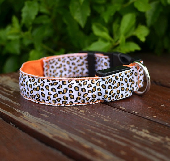 GlowBuddy Adjustable Pet Collar – Nighttime Safety in Style