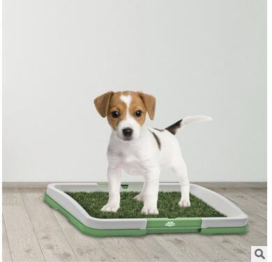 Flat Pet Toilet with Grass Pad – Indoor Dog Potty for Easy Training